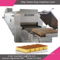 Manufacturer Of Commercial Gas Bread Electrical Curing Tunnel Oven